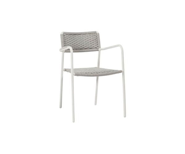 Echo Dining Chair