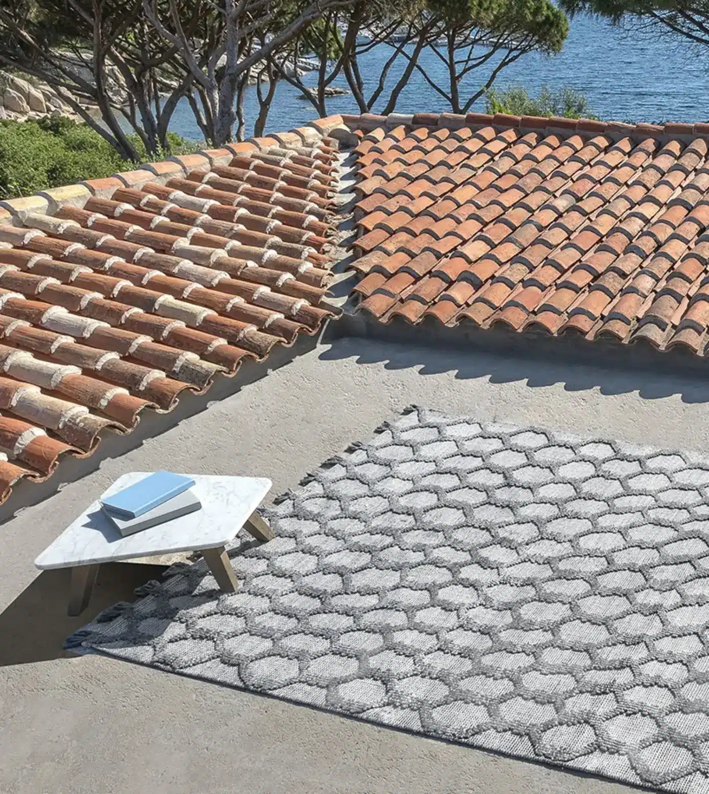 Outdoor Rugs