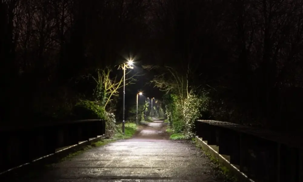 Pathway Lighting Los Angeles CA