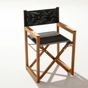Orson 011 Director Chair