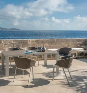 Pluvia Dining Armchair - Natwick - Image 4