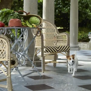 Brando Bicolor Dining Chair Out