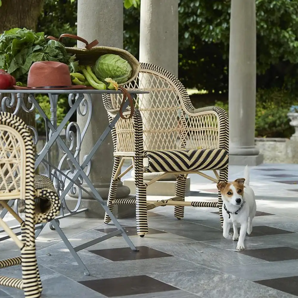 Brando Bicolor Dining Chair Out