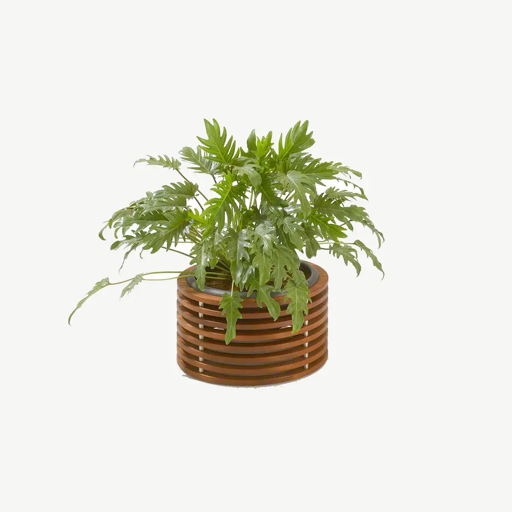 Osianna Planter