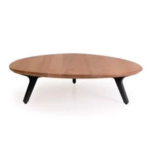 Torsa Organic Coffee Table 5