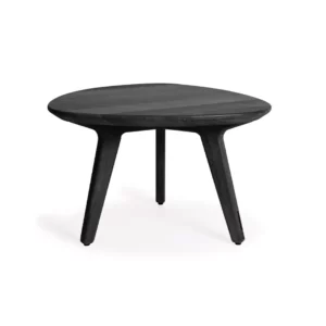 Torsa Organic Coffee Table 4