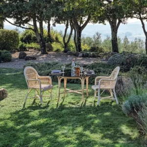 Brando Bicolor Dining Chair Out 2