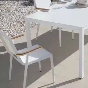 Domino Dining Chair 1