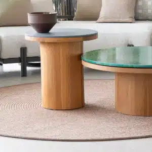 Frisbee Coffee Table 1