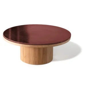 Frisbee Coffee Table 5