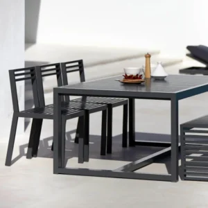 DNA Dining chair 1