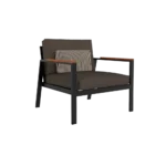 Timeless Lounge chair