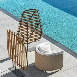 Clostra Shield - Image 2