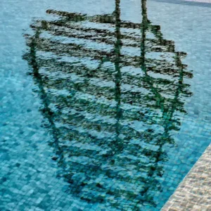 Clostra Shield - Image 2