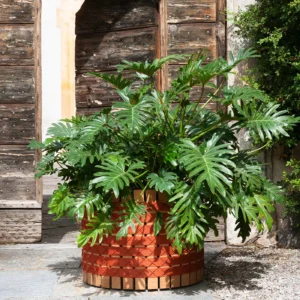 Planter BARRIQUE 002 - Image 10