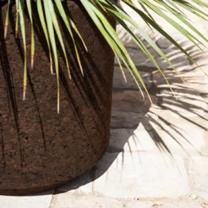Planter CORTICA 002 - Image 3