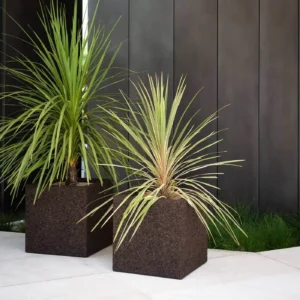 Planter CORTICA 002 - Image 4