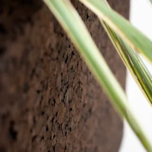 Planter CORTICA 002 - Image 7