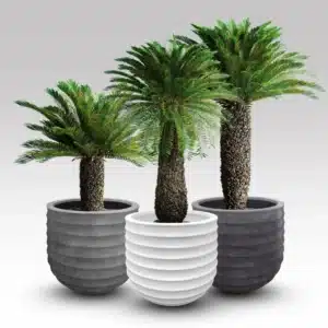 Fermo Large Planter - Image 2