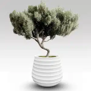 Granada Indoor Planter - Image 2
