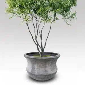 Solo Planter Stand - Image 2