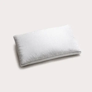 Leonardo Sleeping Pillow