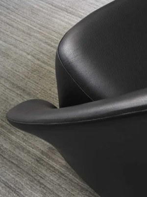 Lilia Armchairs - Image 12