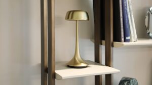 Frame Bookcase by Rugiano