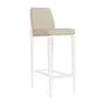 Brickell Barstool with Back