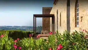 Vision Pergola - Image 2