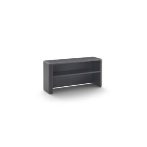 Tokio Module with Shelf