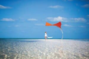 Stingray - Image 5